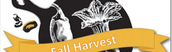 PlaySmart Fall Harvest Iron Chef Event